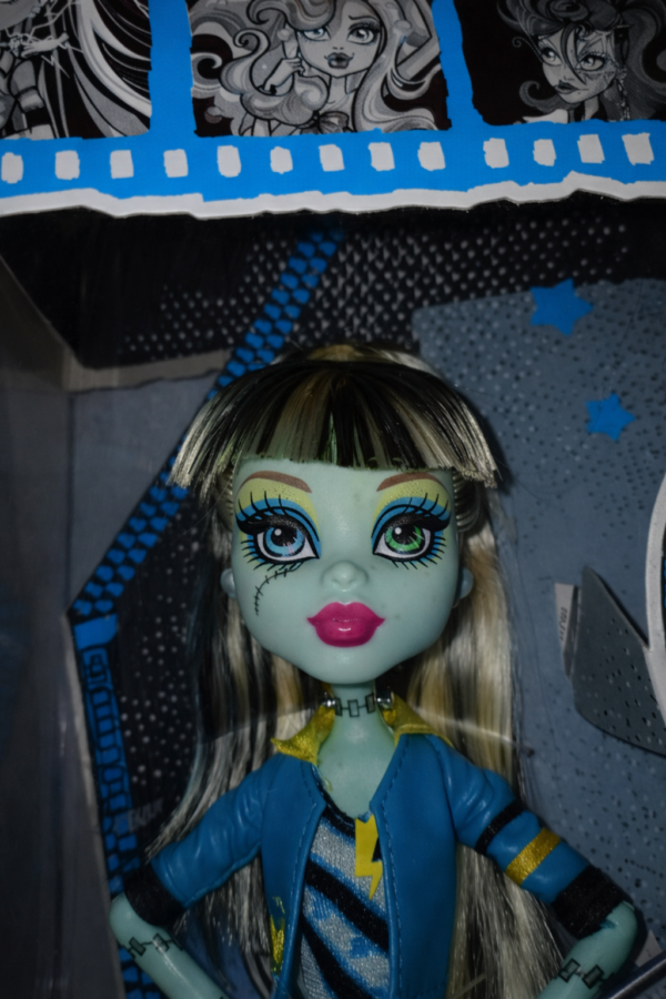 Monster High Picture Day Frankie Stein