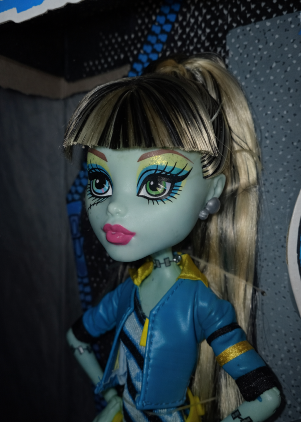 Monster High Picture Day Frankie Stein