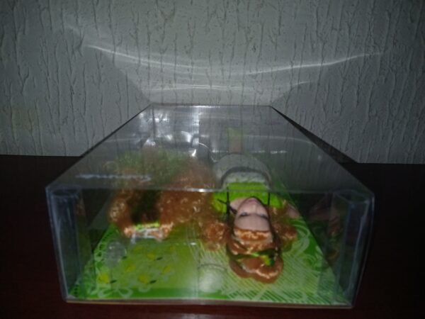 Barbie Top Model Hair Wear Summer